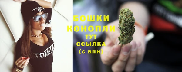 сатива Нея